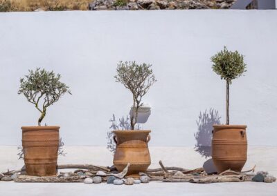 Rhodes Holidays Heritage Suites Grand Casa